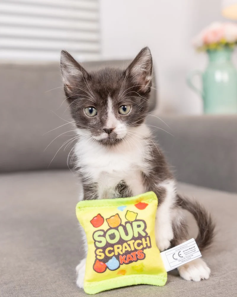 Sour Scratch Kids Catnip Cat Toy - Image 2