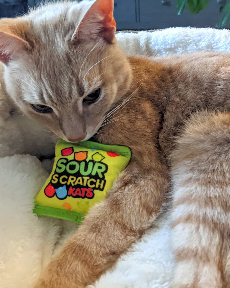 Sour Scratch Kids Catnip Cat Toy - Image 3