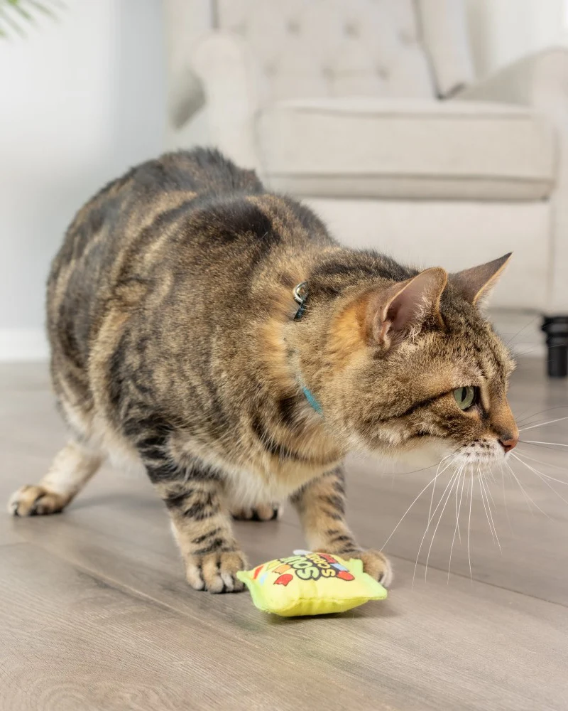 Sour Scratch Kids Catnip Cat Toy - Image 5