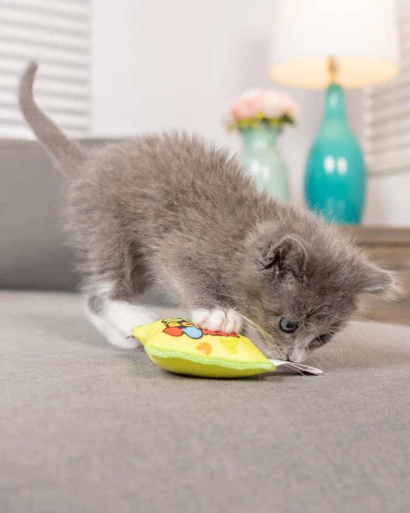 Sour Scratch Kids Catnip Cat Toy - Image 6