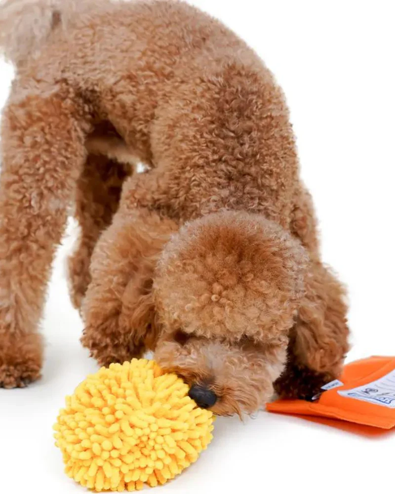 Spicy Ramen Noodle Snuffle Toy - Image 9
