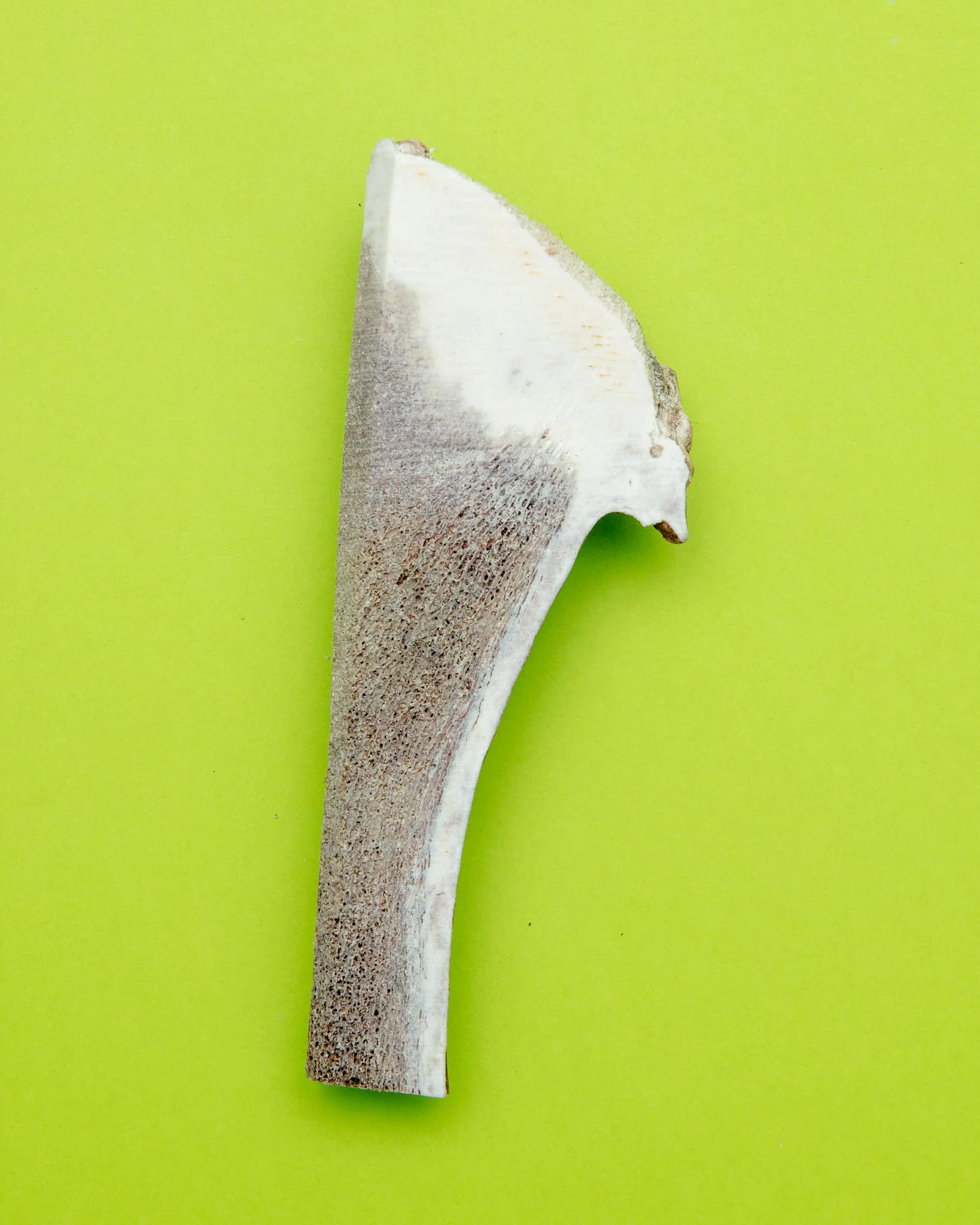 Split Elk Antler Dog Single Chew - Image 2