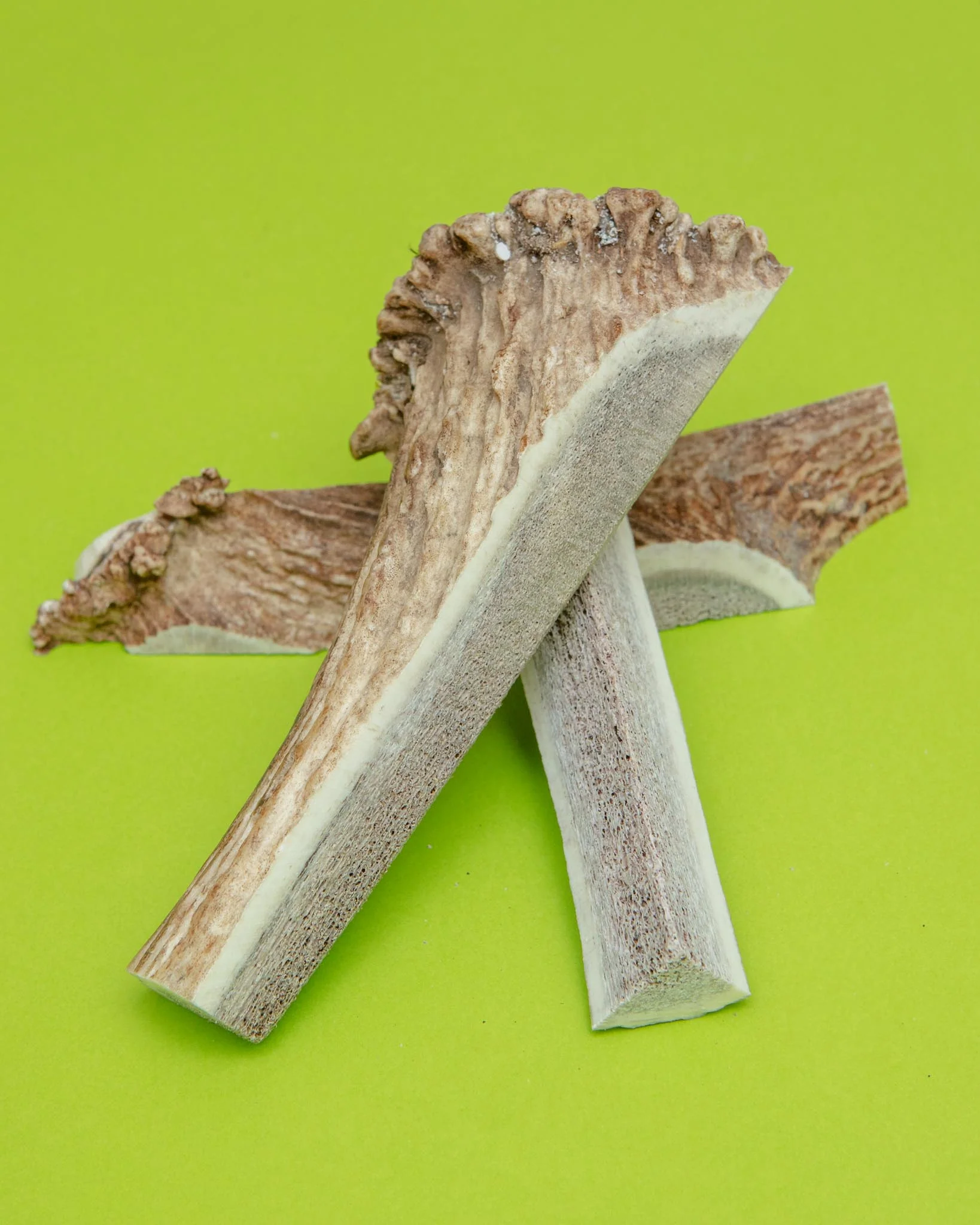 Split Elk Antler Dog Single Chew - Image 3