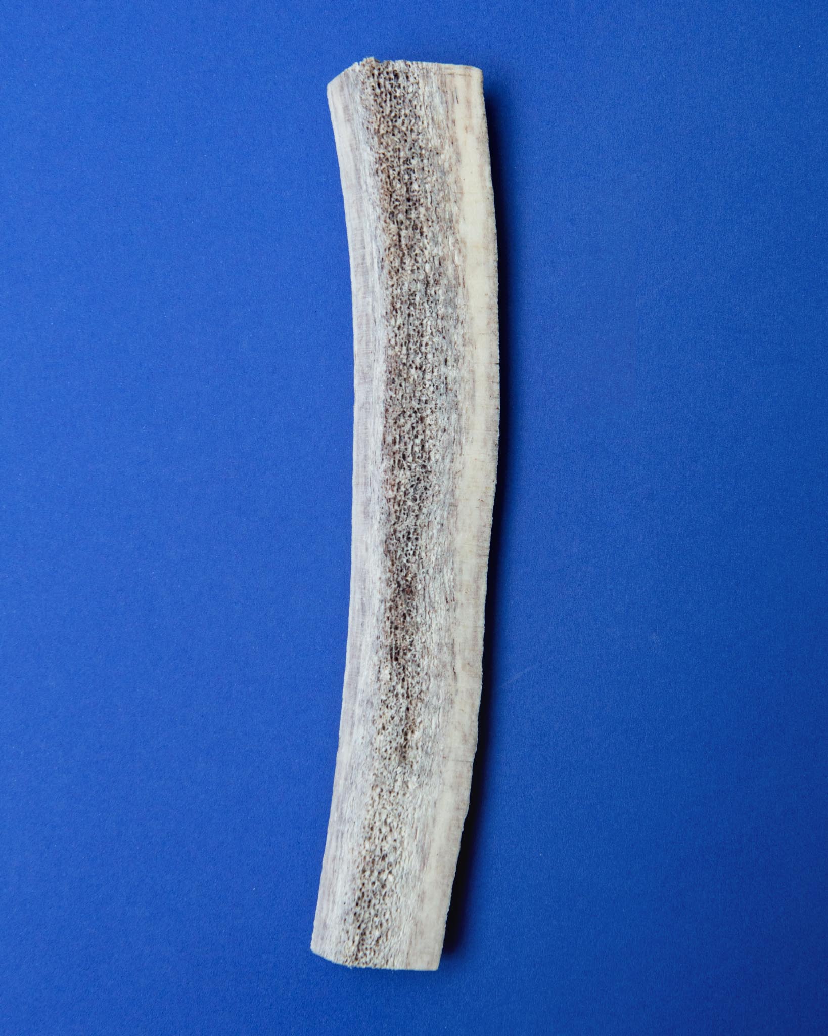 Split Elk Antler Dog Single Chew - Image 4