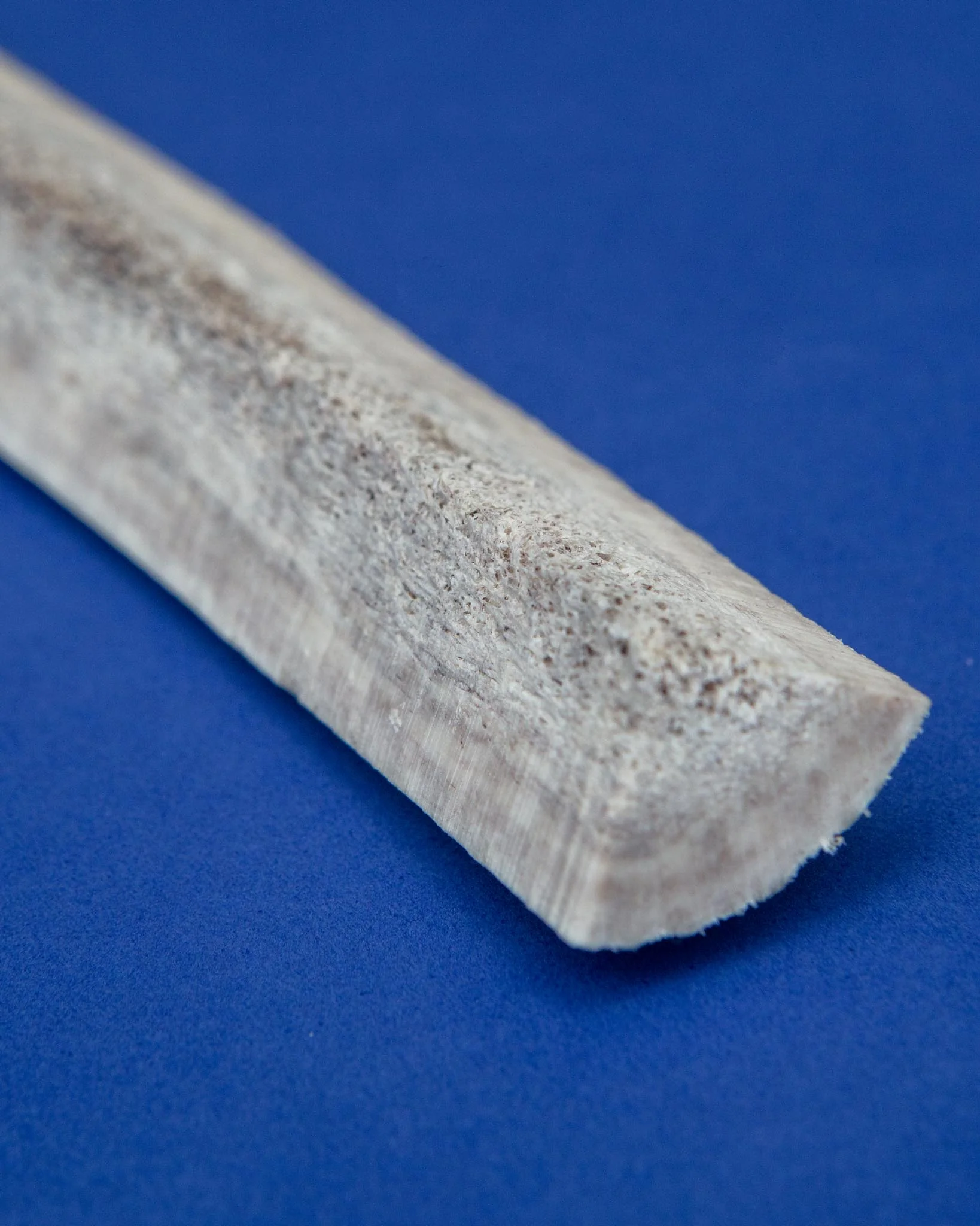Split Elk Antler Dog Single Chew - Image 7