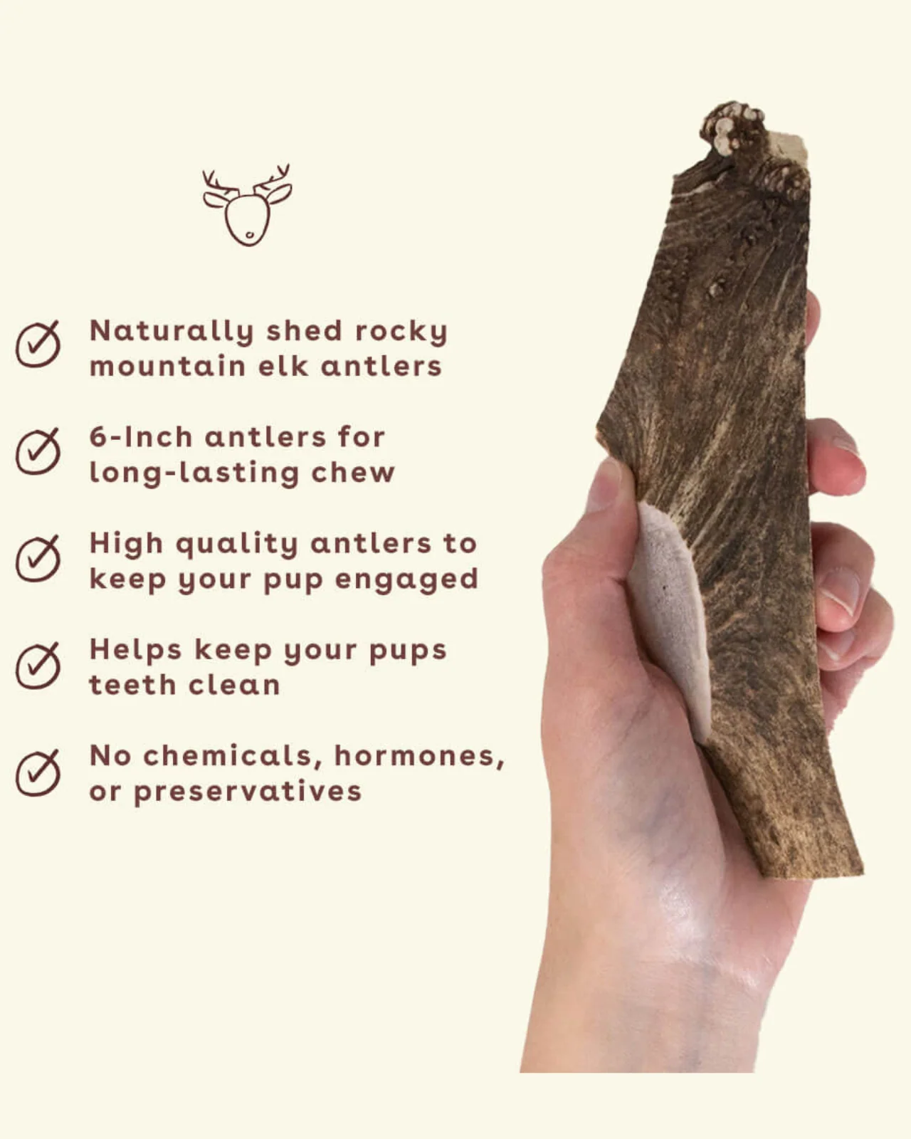 Split Elk Antler Dog Single Chew - Image 8