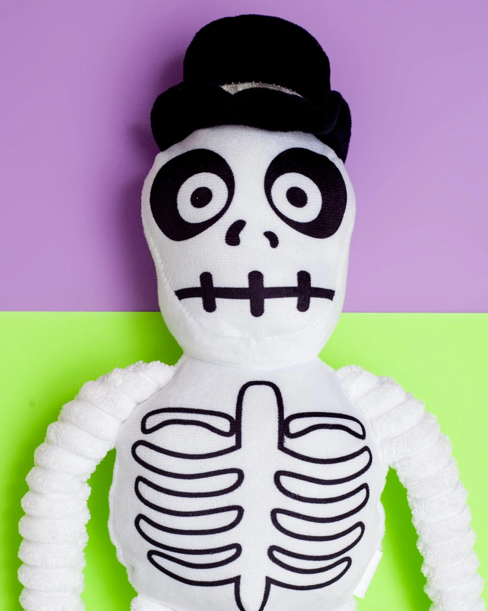 Spooky Skeleton Squeaky Dog Toy - Image 2