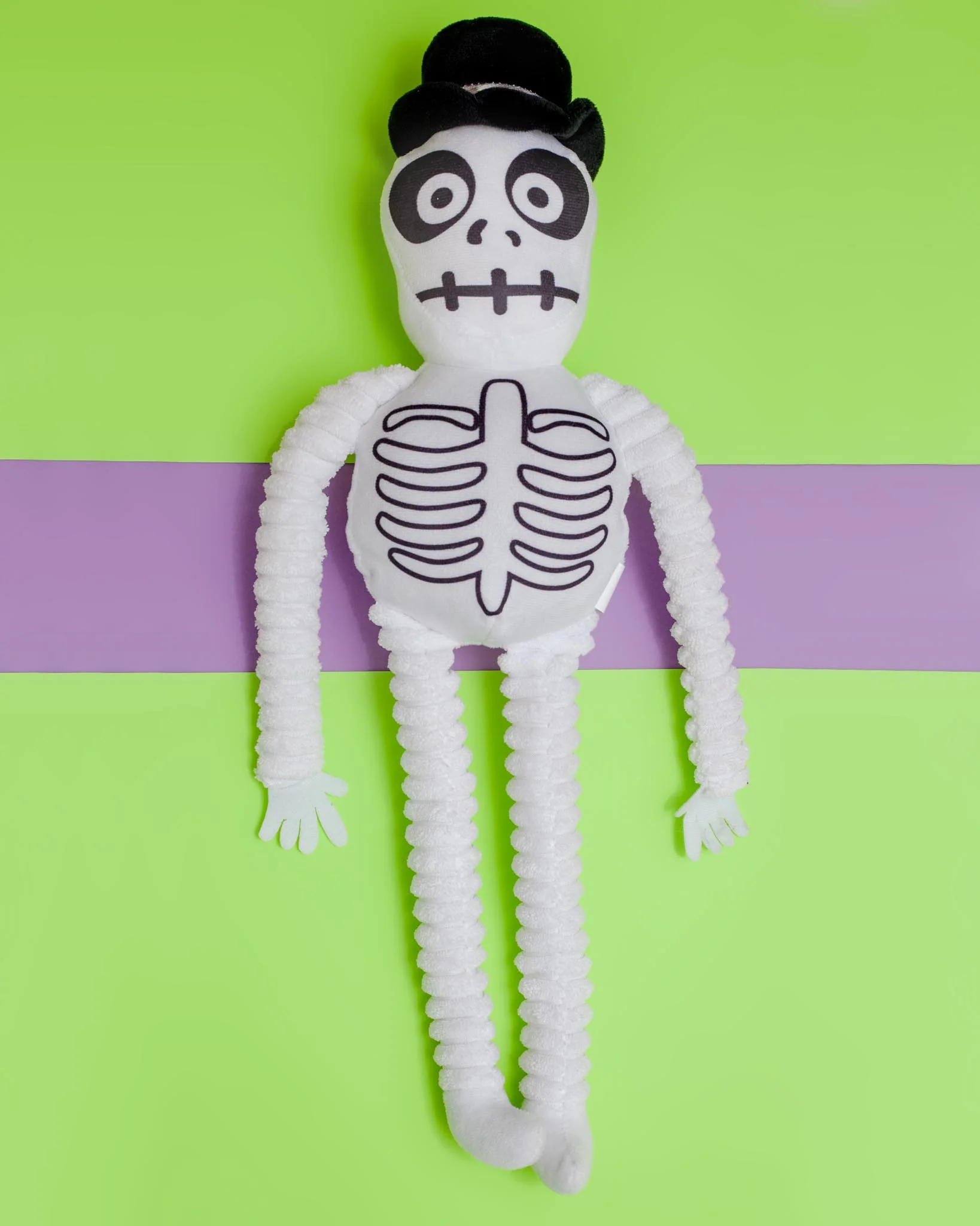 Spooky Skeleton Squeaky Dog Toy - Image 3