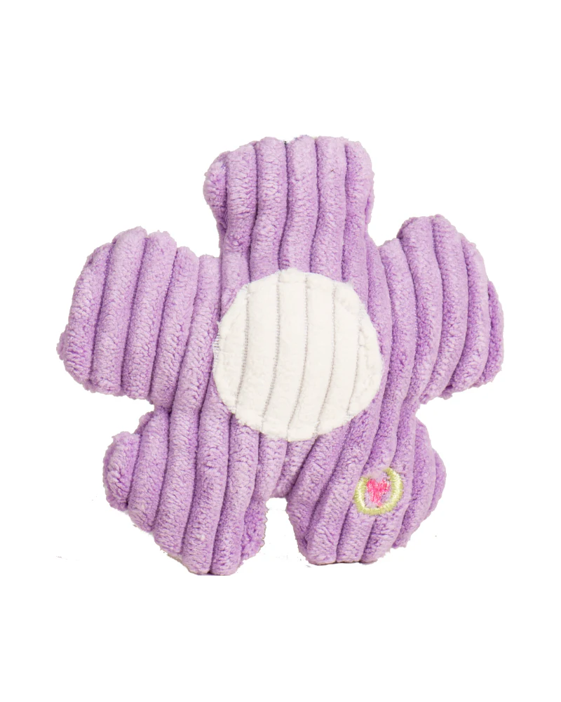 Spring Fling Wee Huggles Plush Dog Toy - Image 4