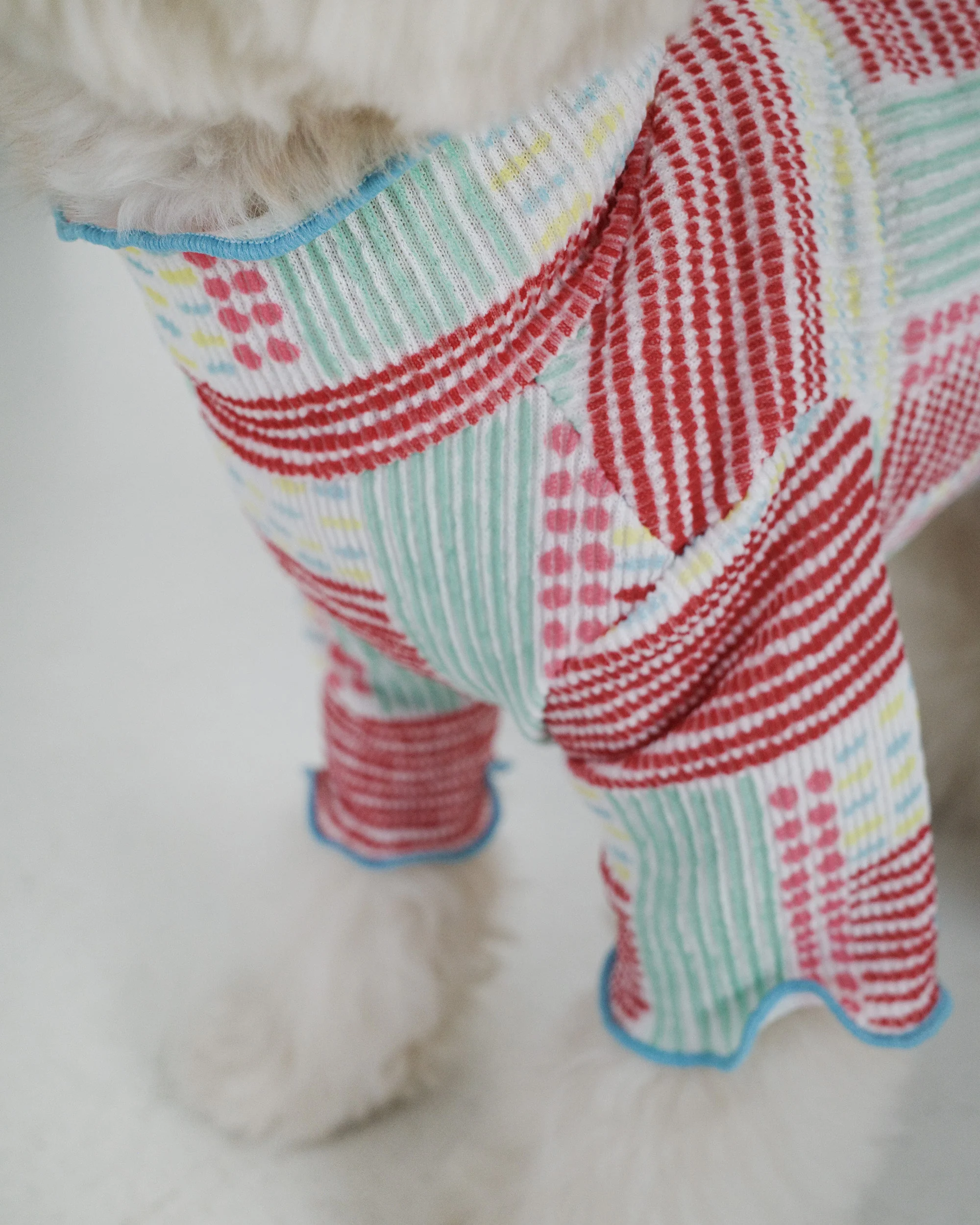 Spring Lettuce Dog T-Shirt - Image 4