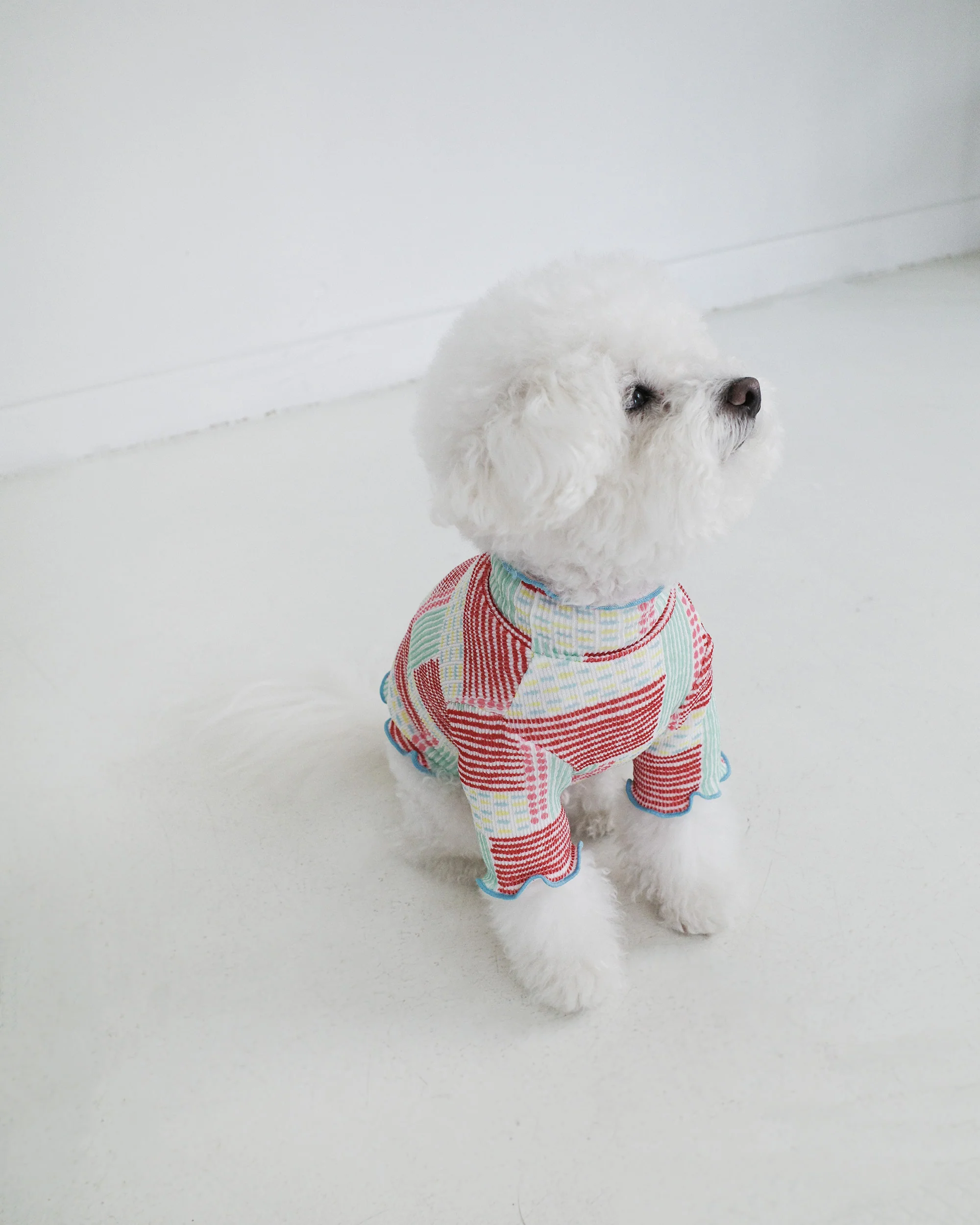Spring Lettuce Dog T-Shirt - Image 5