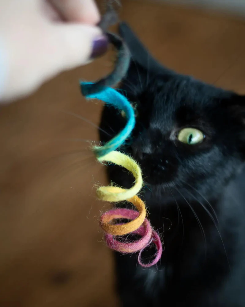 Spring Wool Cat Toy - Image 5
