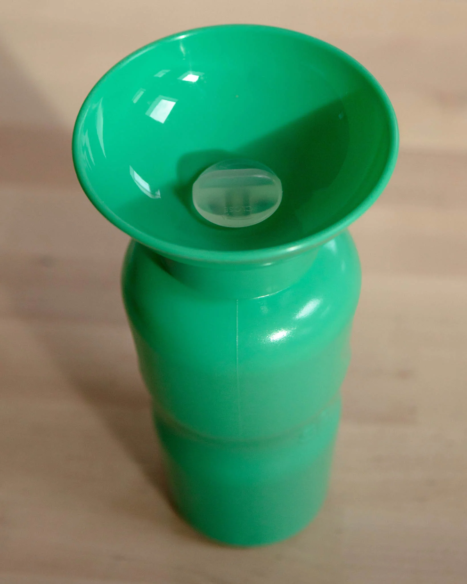 Dog Travel Water Bottle (FINAL SALE) - Image 12