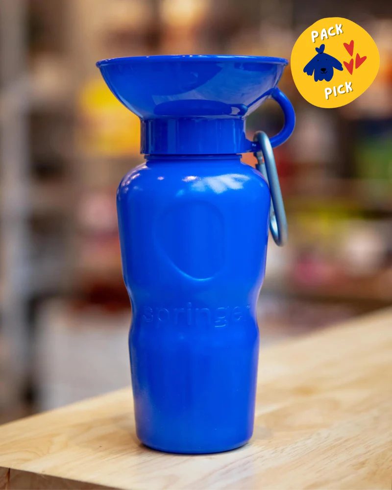 Dog Travel Water Bottle (FINAL SALE) - Image 19