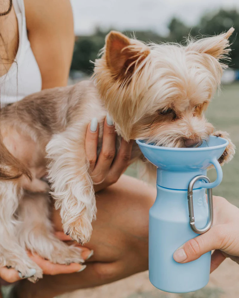 Dog Travel Water Bottle (FINAL SALE) - Image 5