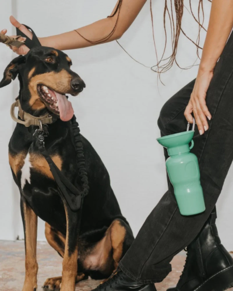 Dog Travel Water Bottle (FINAL SALE) - Image 7