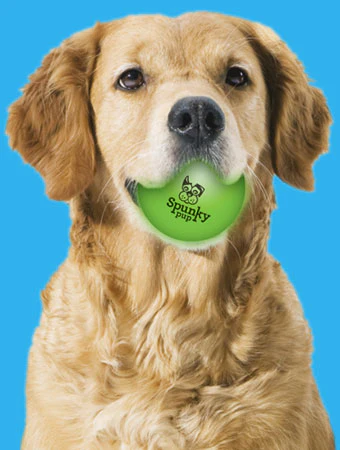 SPUNKY PUP | Flash and Glow Ball - Image 2
