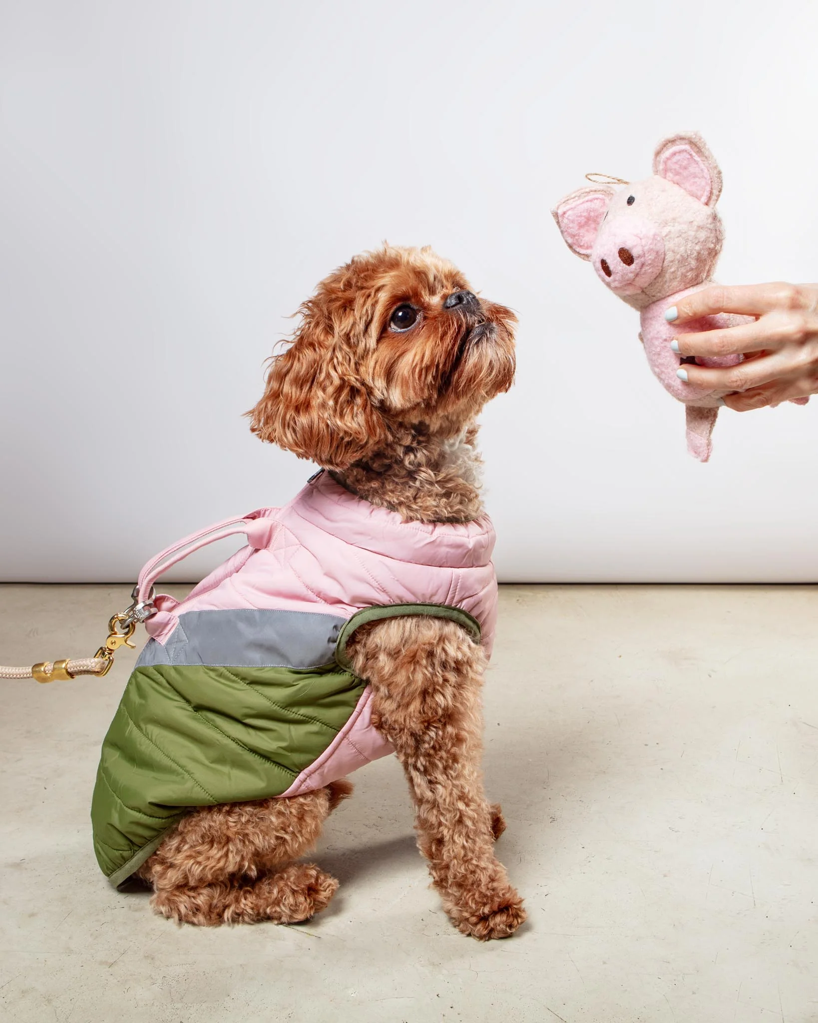 Pig Woolie Squeaky Dog Toy - Image 4
