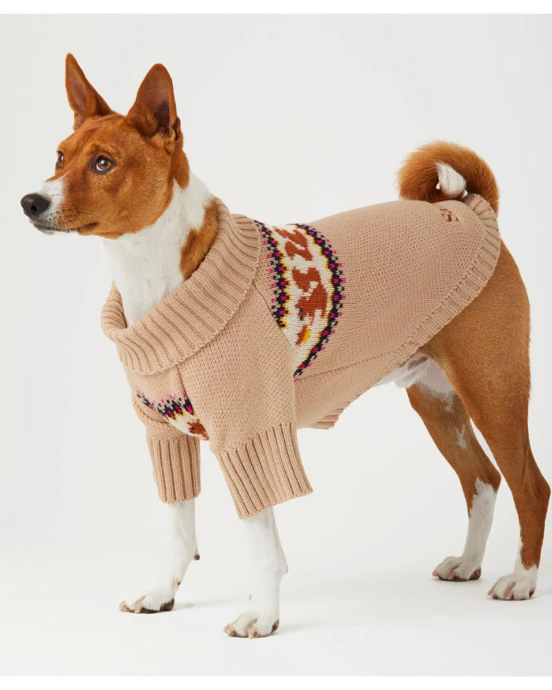 Squirrel Knit Dog Sweater (FINAL SALE)