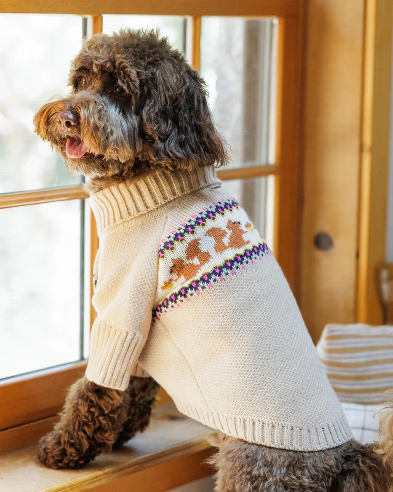 Squirrel Knit Dog Sweater (FINAL SALE) - Image 3