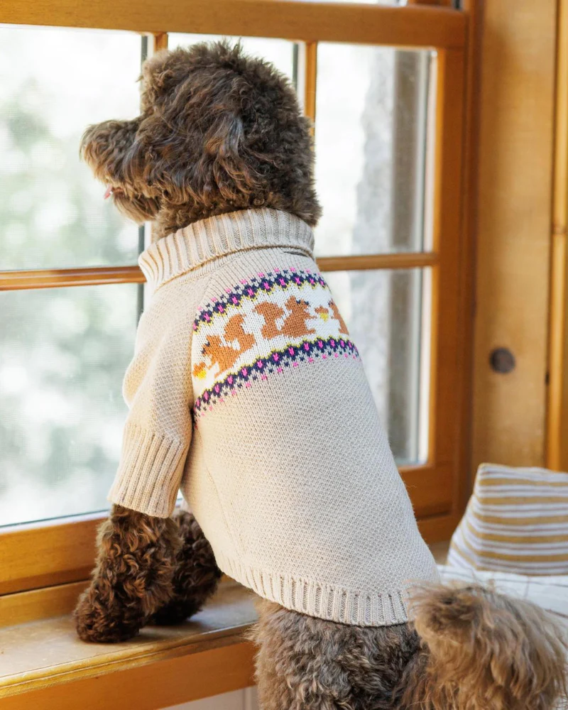 Squirrel Knit Dog Sweater (FINAL SALE) - Image 6