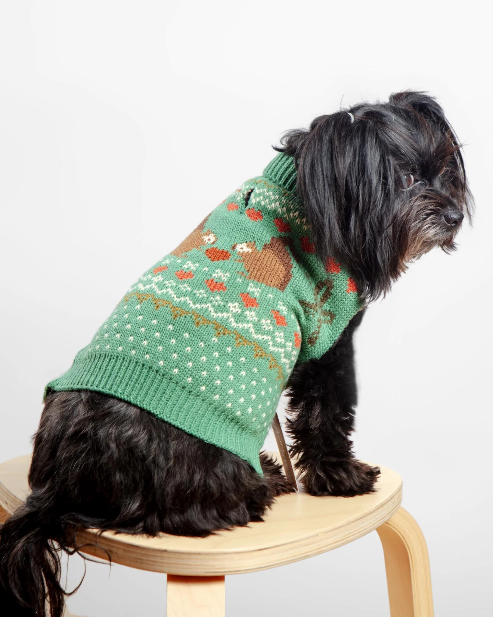Squirrel Love Dog Sweater (FINAL SALE) - Image 3