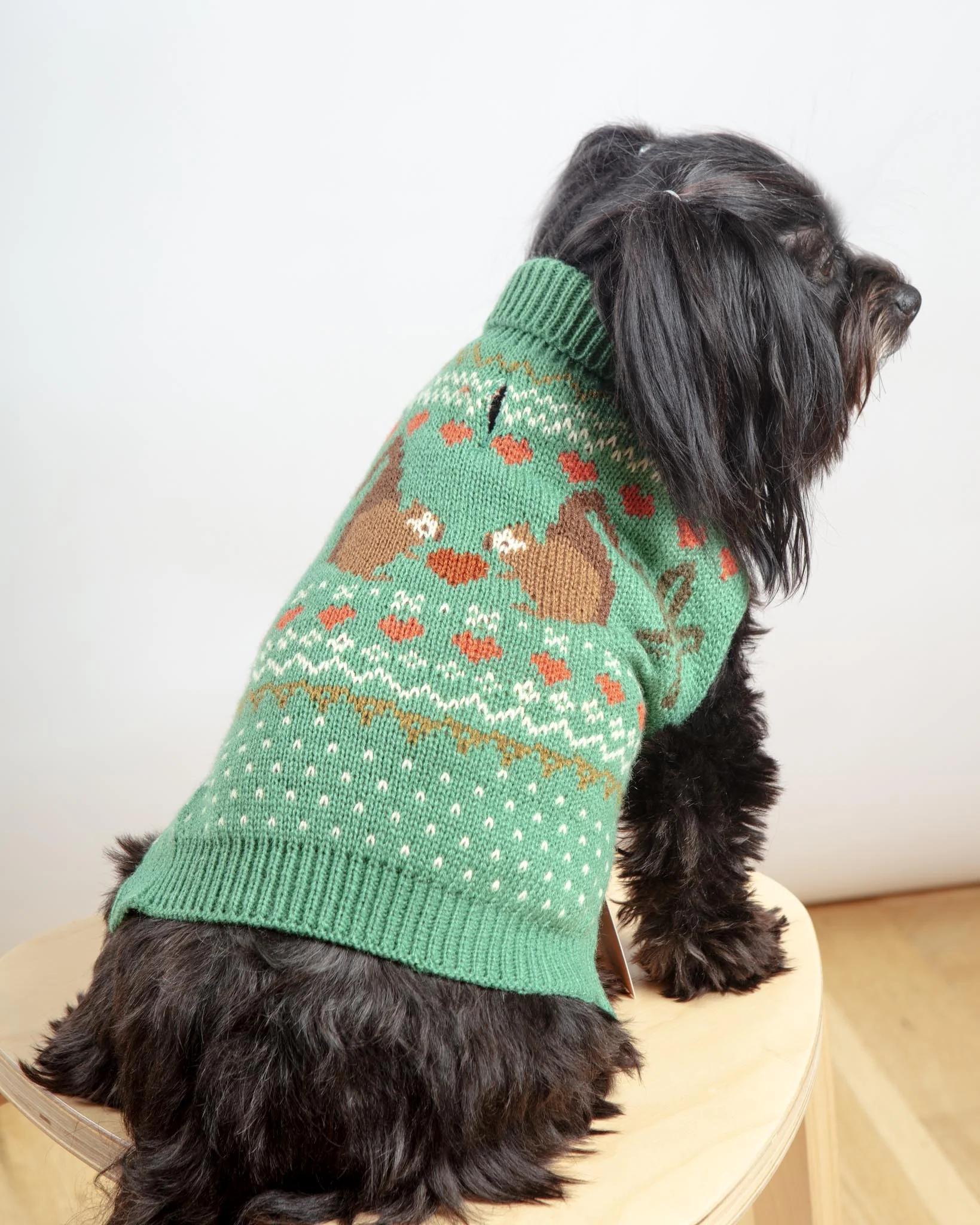 Squirrel Love Dog Sweater (FINAL SALE) - Image 5
