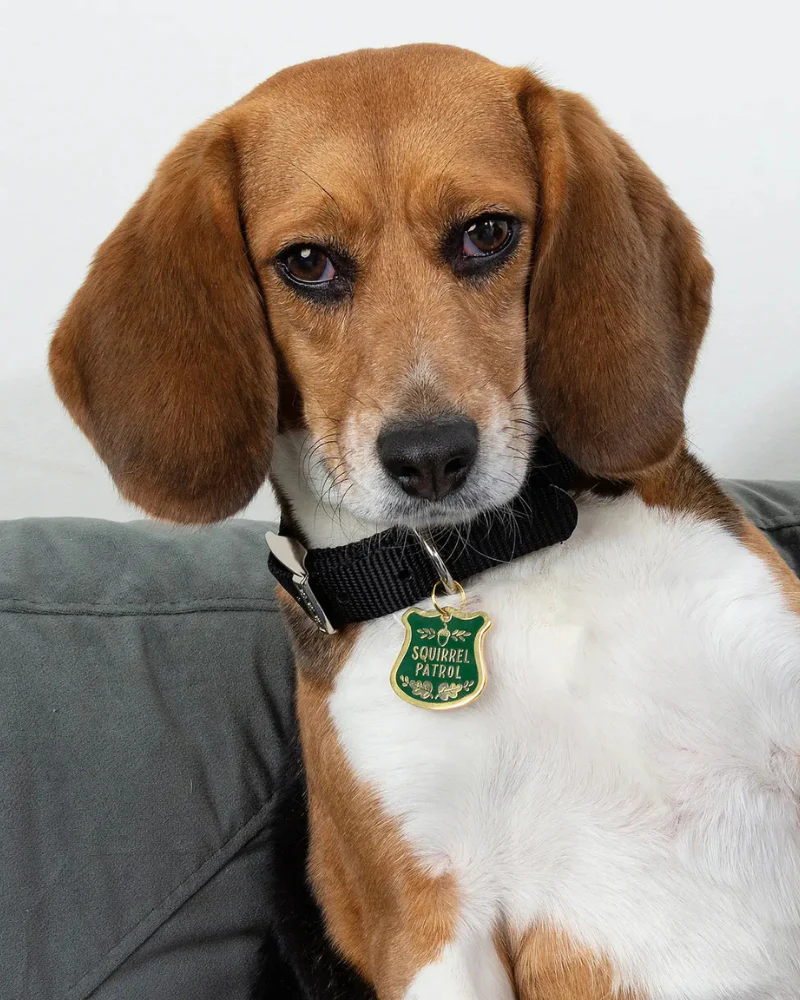 Squirrel Patrol Dog Collar Charm - Image 3