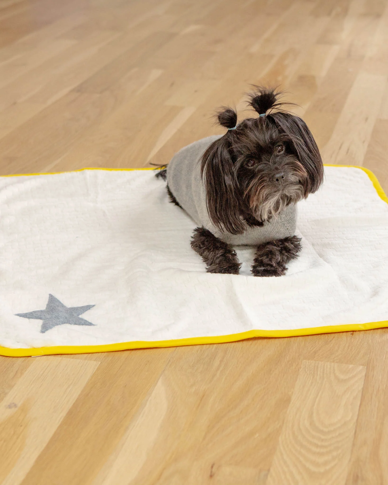 Star Plush Dog Blanket in White w/ Yellow Trim (Made in Spain) - Image 3