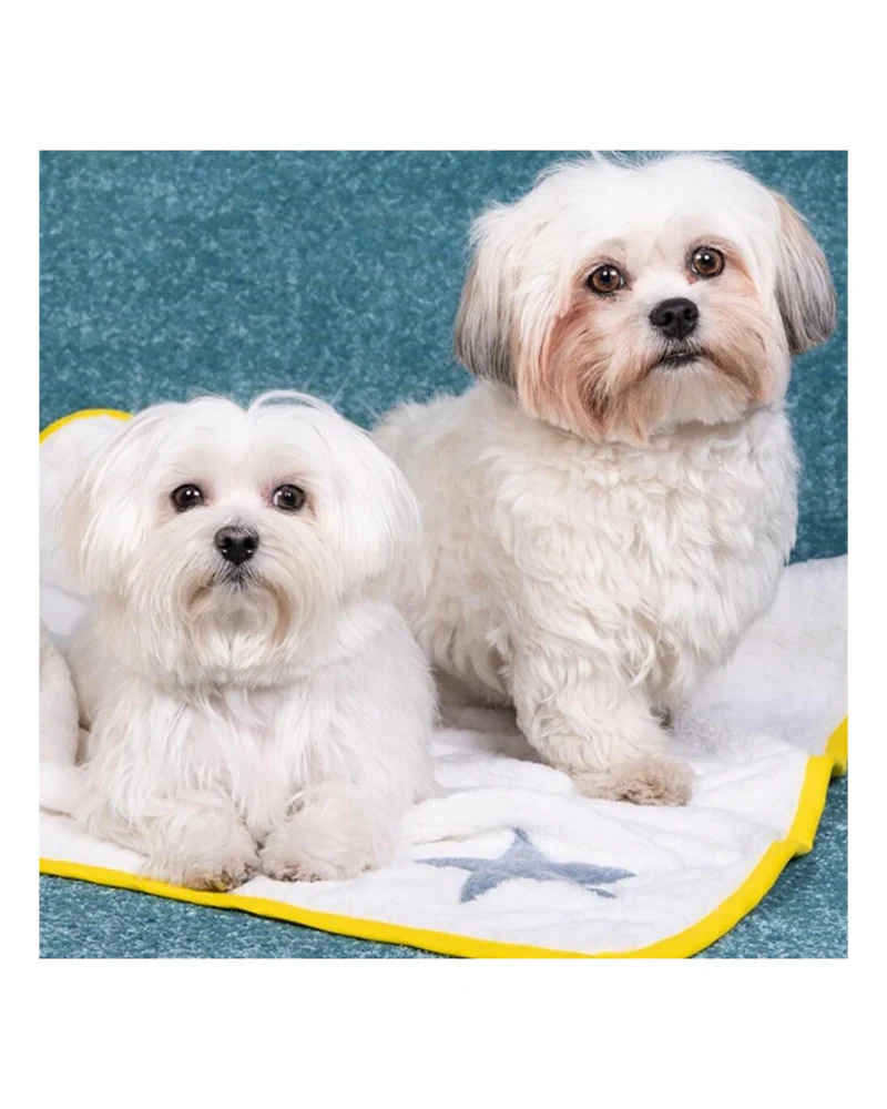 Star Plush Dog Blanket in White w/ Yellow Trim (Made in Spain) - Image 7