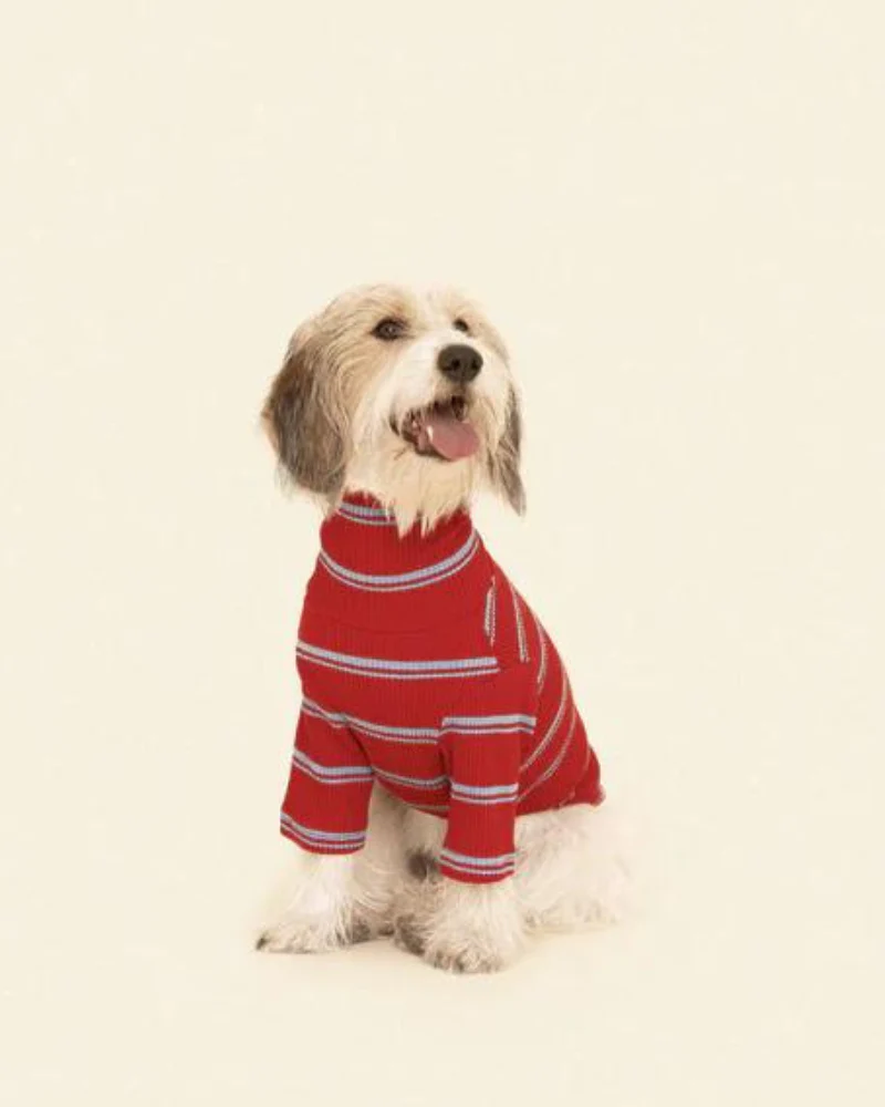 Star Shooter Pullover Dog Shirt