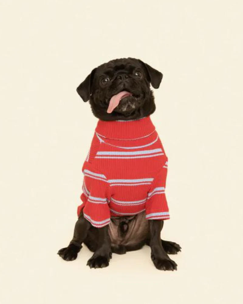 Star Shooter Pullover Dog Shirt - Image 3
