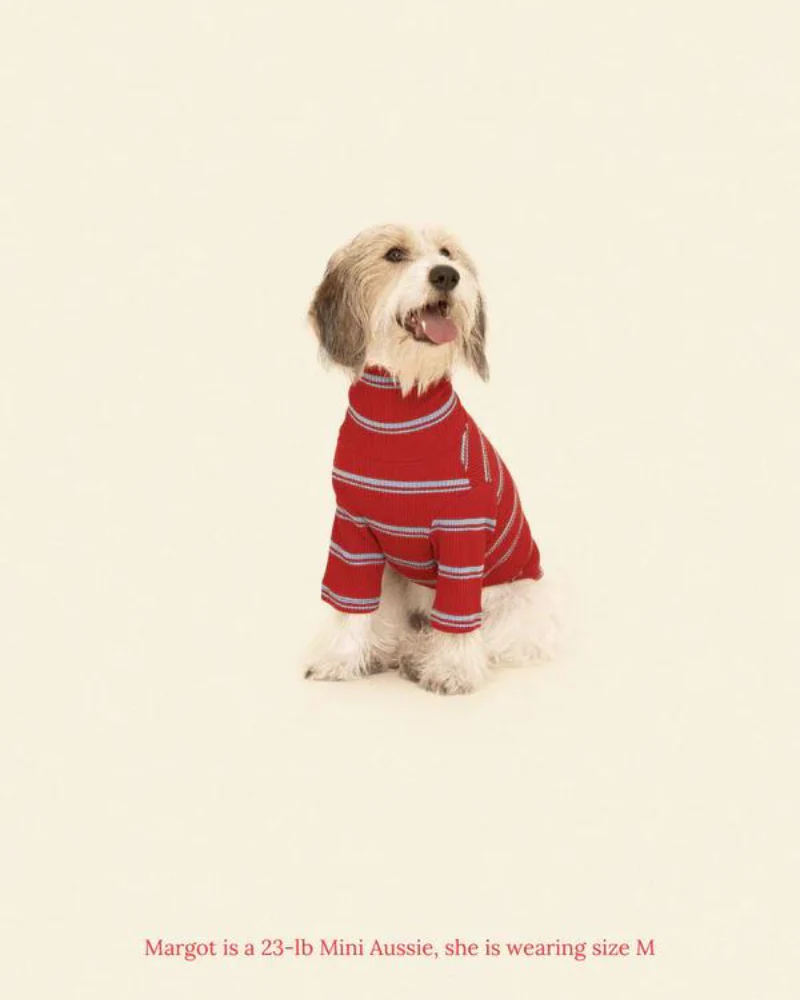 Star Shooter Pullover Dog Shirt - Image 5