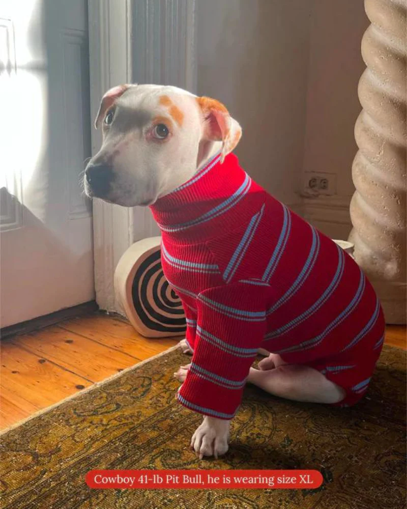 Star Shooter Pullover Dog Shirt - Image 8