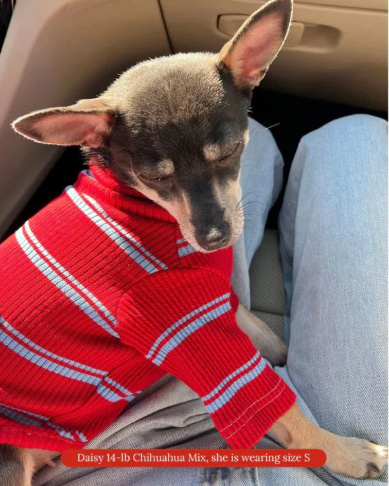 Star Shooter Pullover Dog Shirt - Image 9