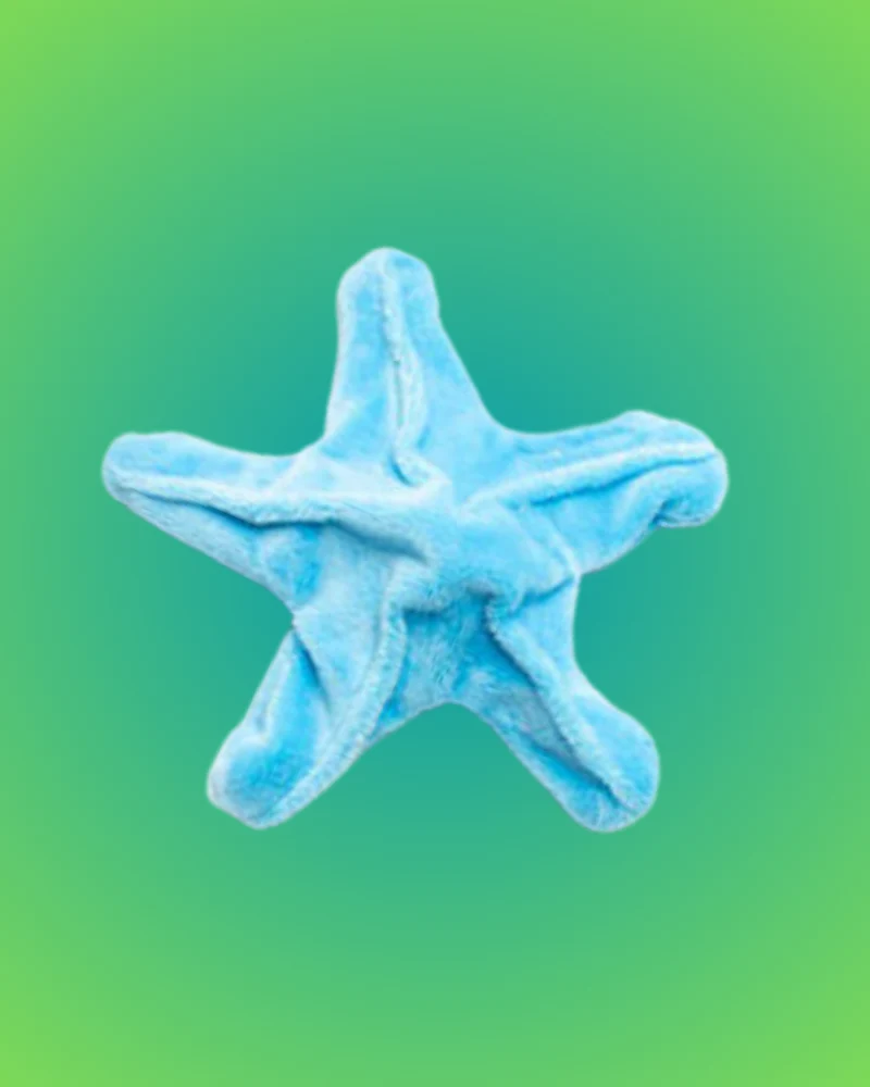 Starfish Crinkle Dog Toy (Made in the USA) (FINAL SALE) - Image 3