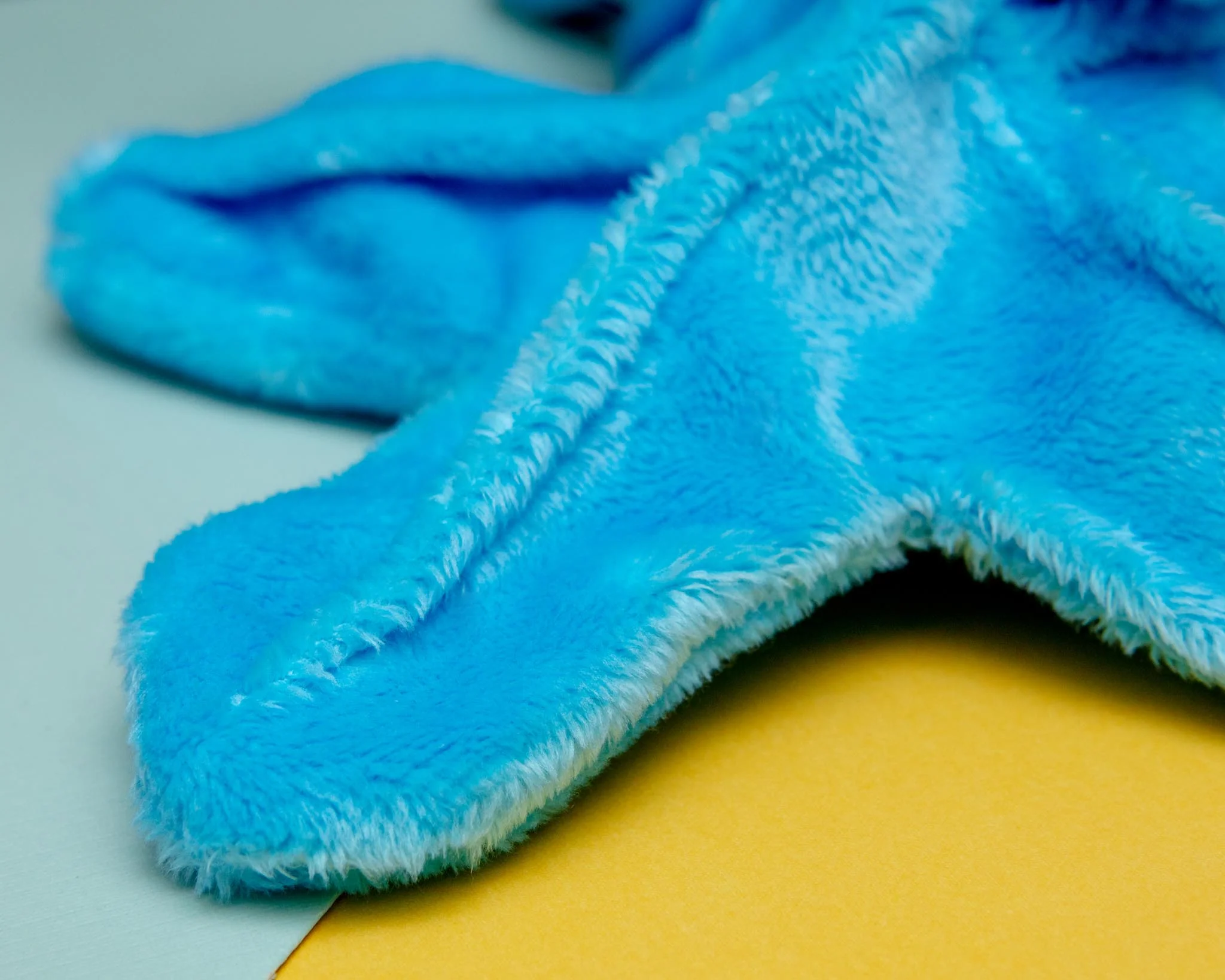 Starfish Crinkle Dog Toy (Made in the USA) (FINAL SALE) - Image 4