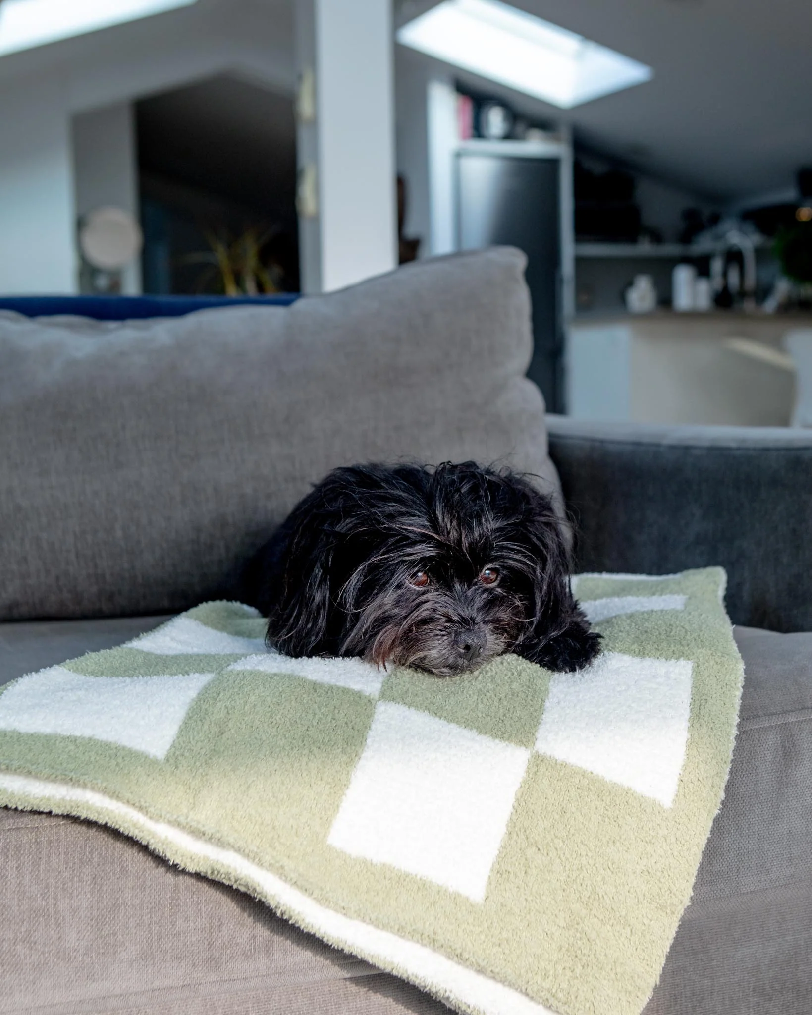 Luxe Check Blanket in Matcha Sage - Image 2