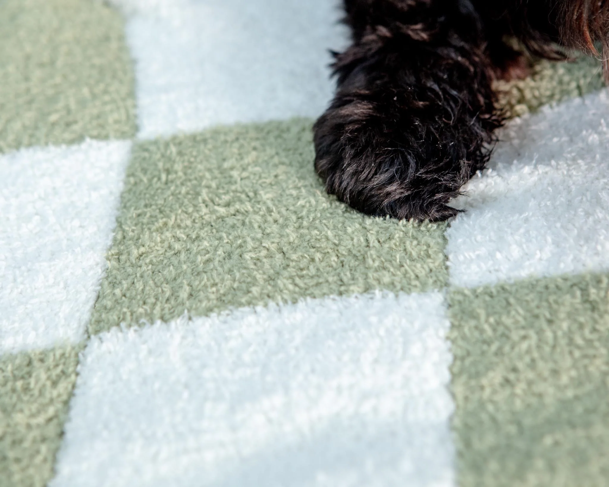 Luxe Check Blanket in Matcha Sage - Image 5