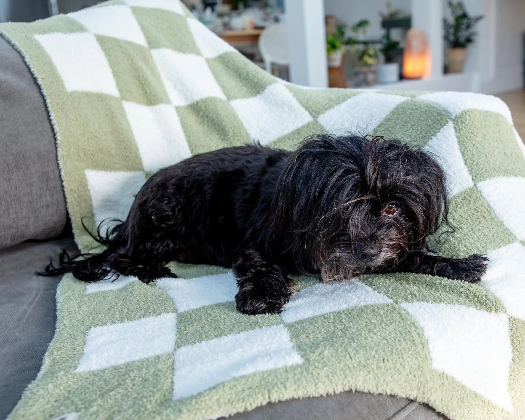 Luxe Check Blanket in Matcha Sage - Image 7