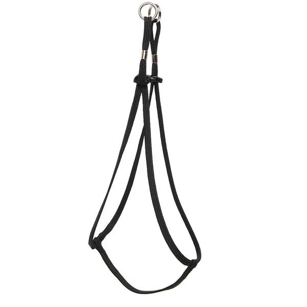 Tiny Dog Step-In Harness + Lead in Black - Image 4