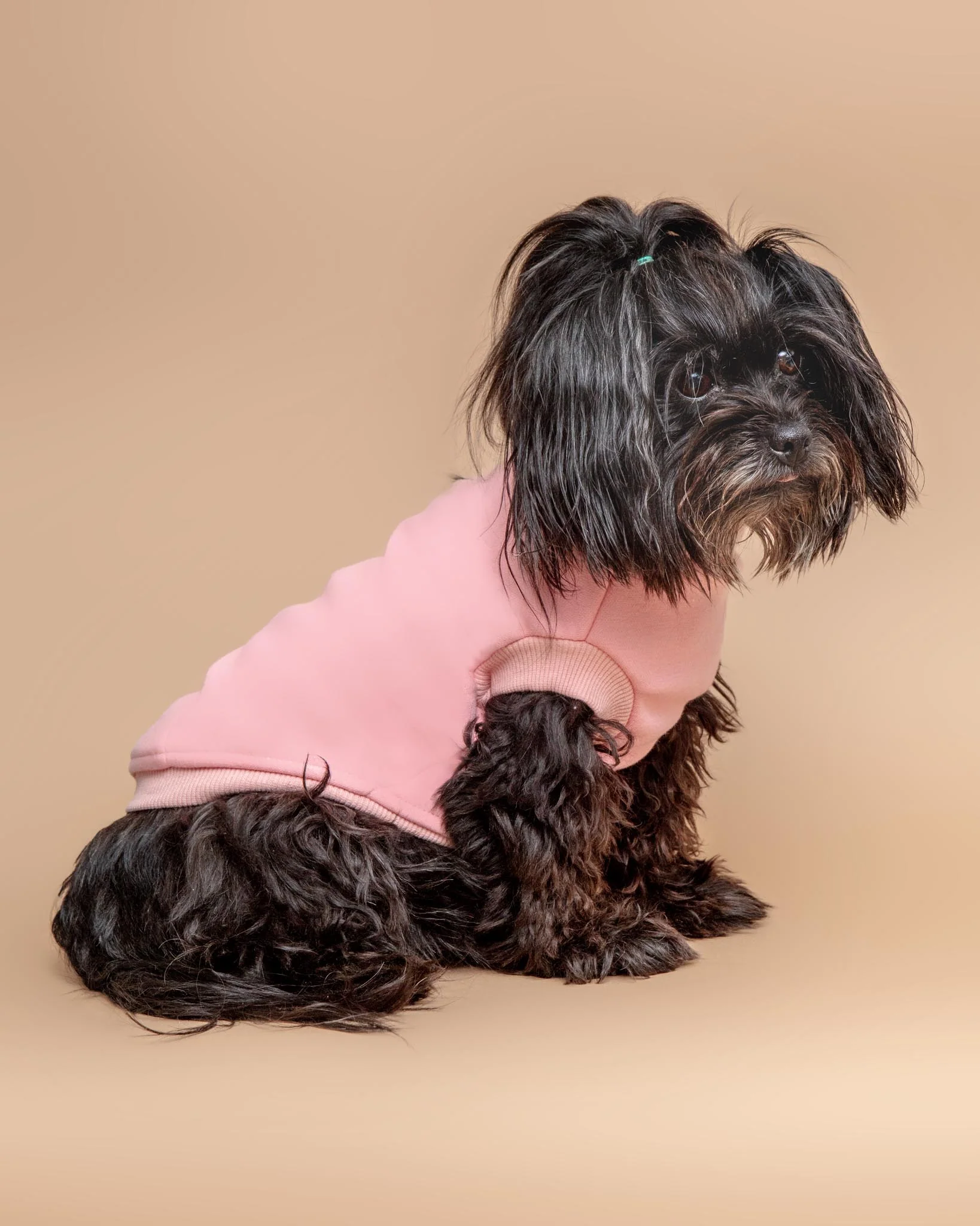 Stevie Dog Turtleneck in Pink (FINAL SALE) - Image 4