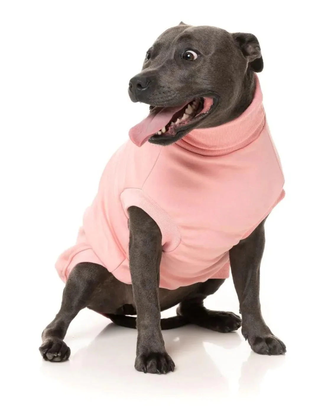 Stevie Dog Turtleneck in Pink (FINAL SALE) - Image 9