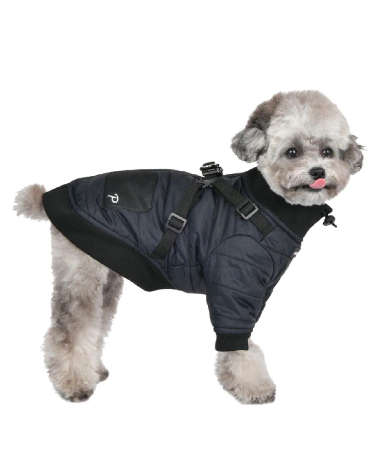 Stratus Dog Harness Coat in Black (FINAL SALE) - Image 3