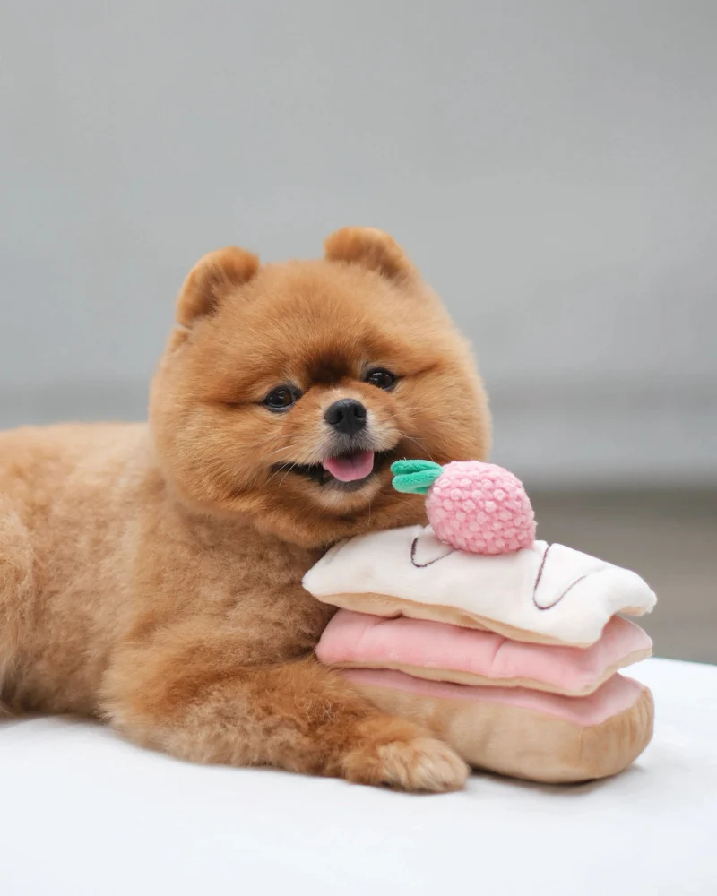 Strawberry Mille-Feuille Nosework Dog Toy - Image 3