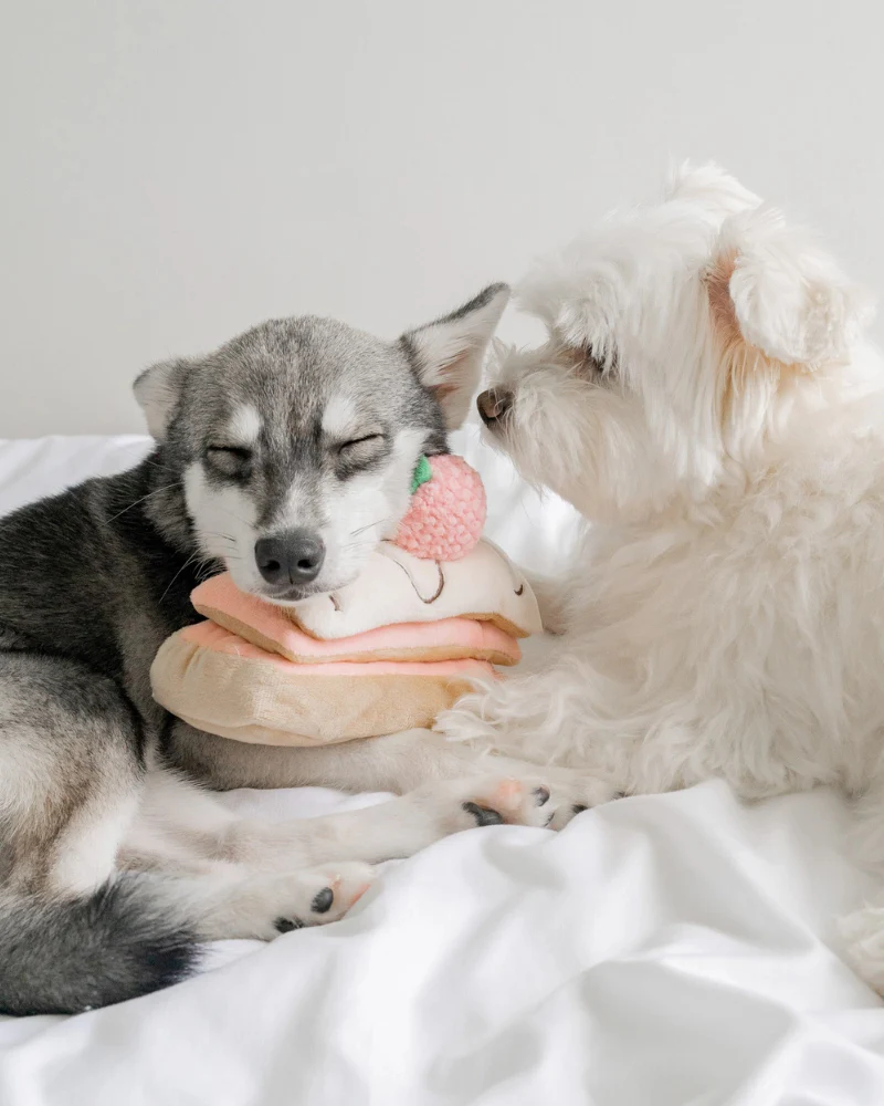 Strawberry Mille-Feuille Nosework Dog Toy - Image 5