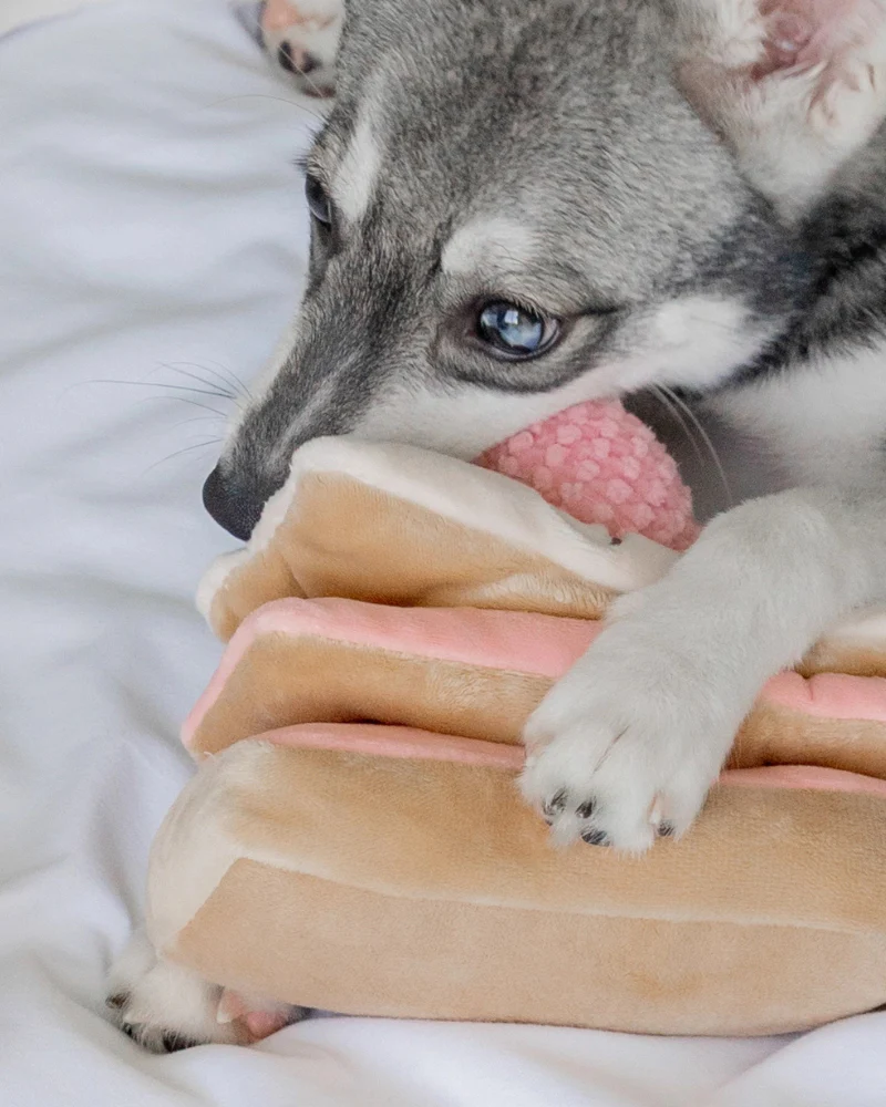 Strawberry Mille-Feuille Nosework Dog Toy - Image 7
