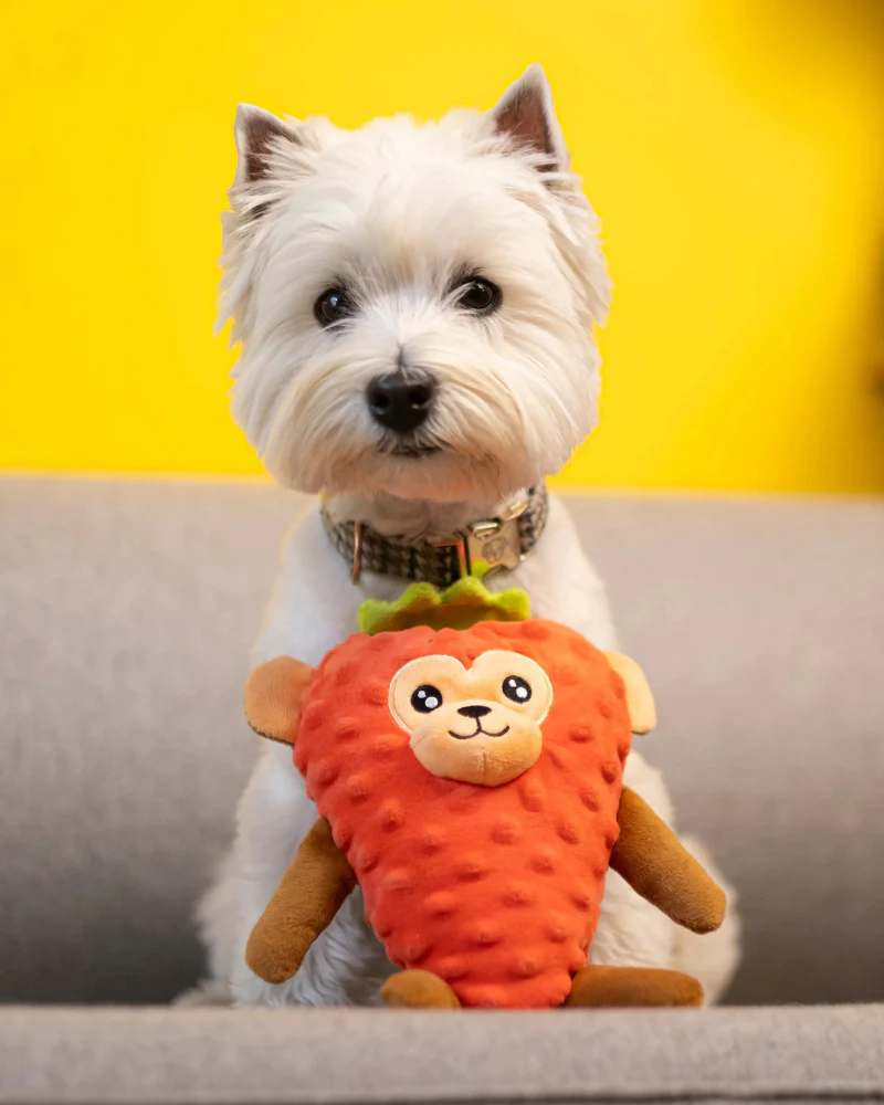 Strawberry Monkey Squeaky Plush Dog Toy - Image 2