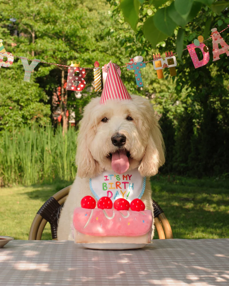 Strawberry Snuffle Cake Dog Treat Toy - Image 5