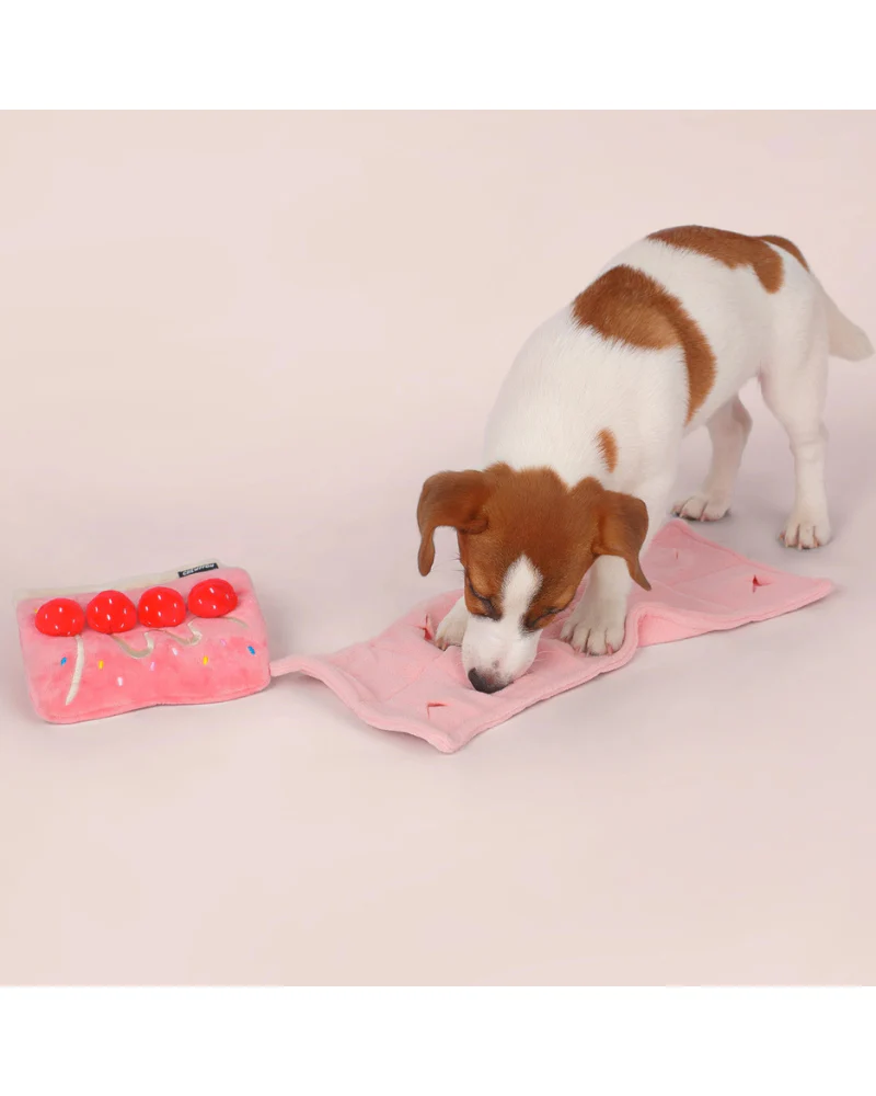 Strawberry Snuffle Cake Dog Treat Toy - Image 8